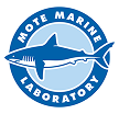 MOTE